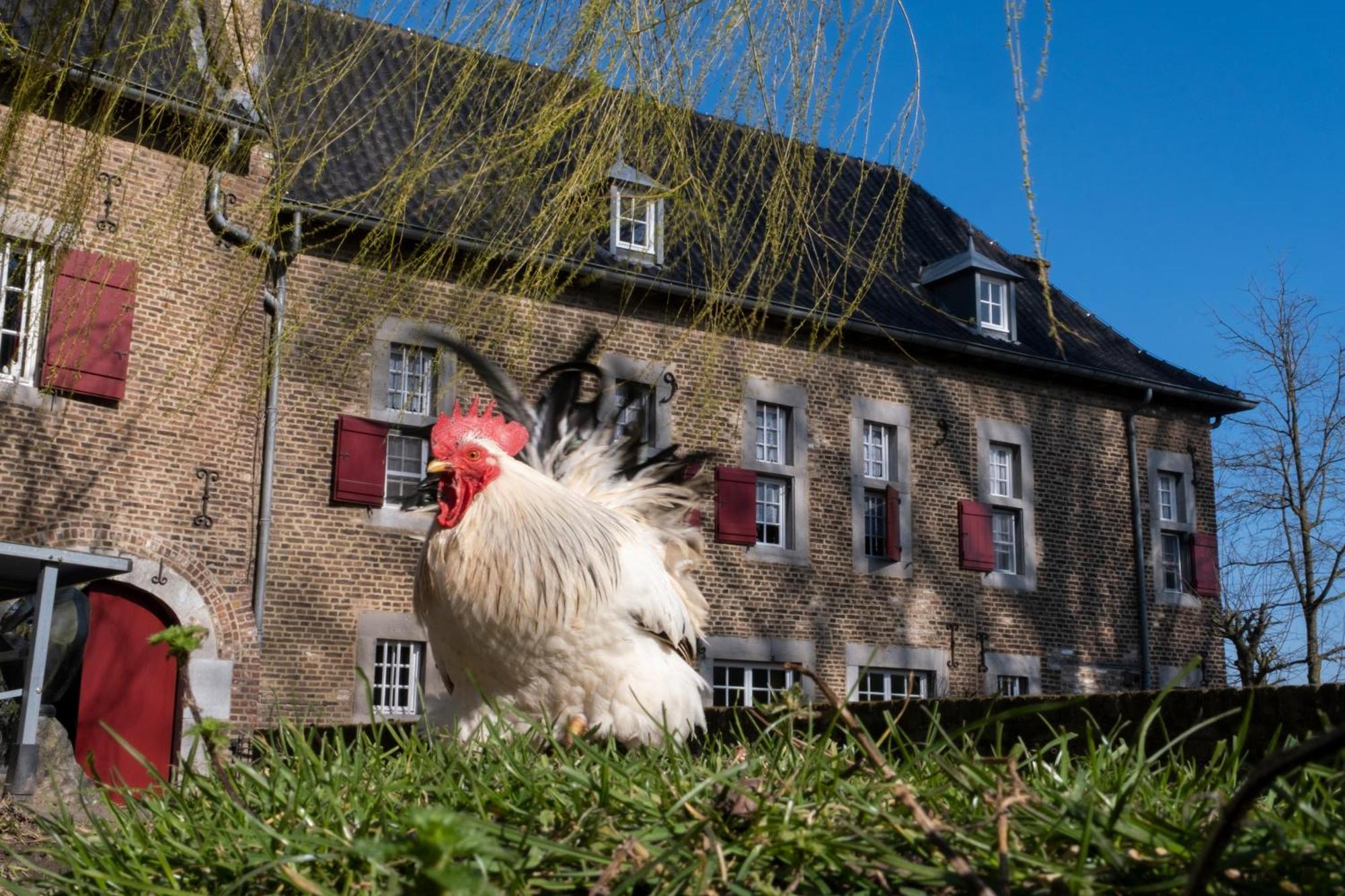 Meschermolen, Overnachten In De Schuur Eijsden Bagian luar foto