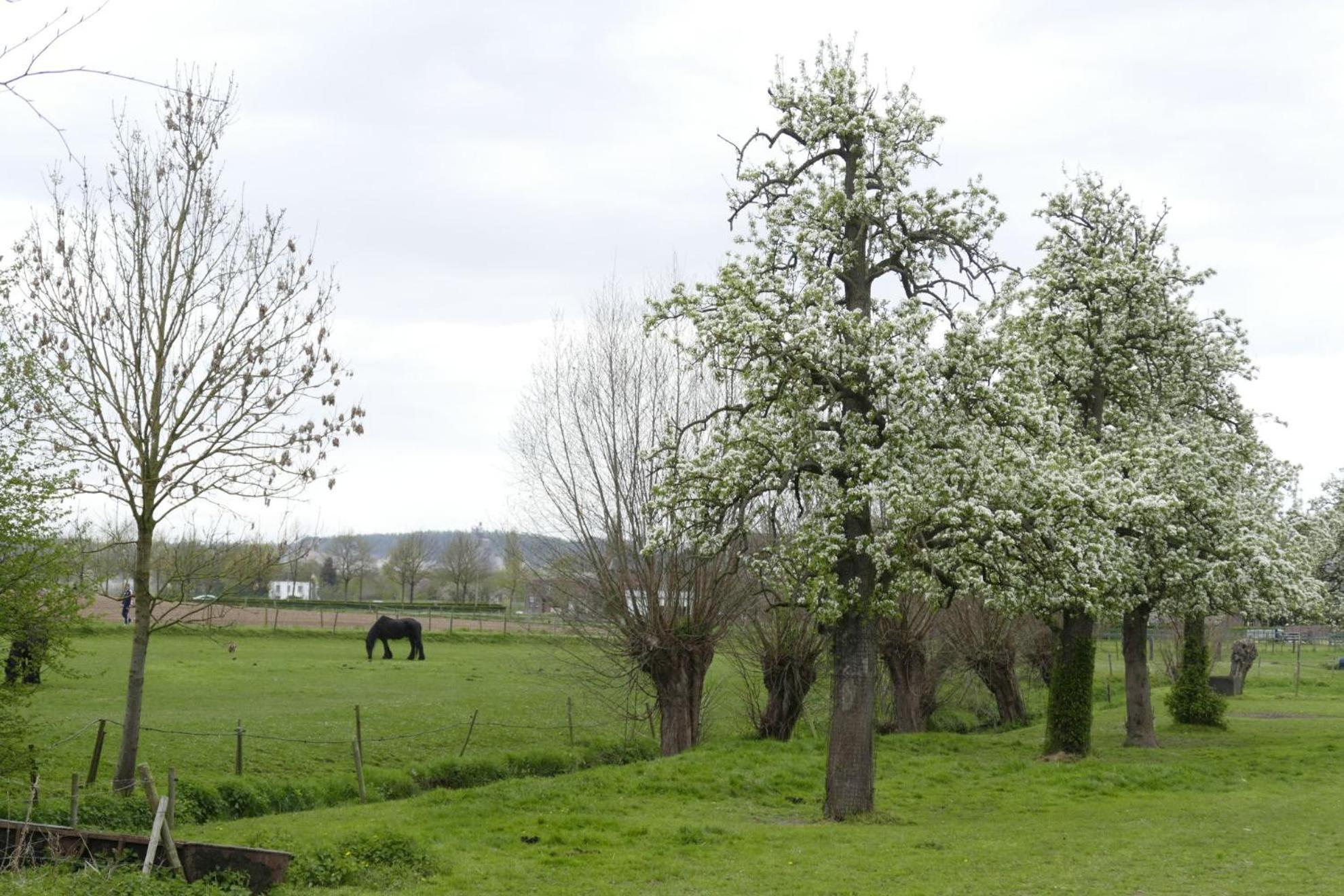 Meschermolen, Overnachten In De Schuur Eijsden Bagian luar foto